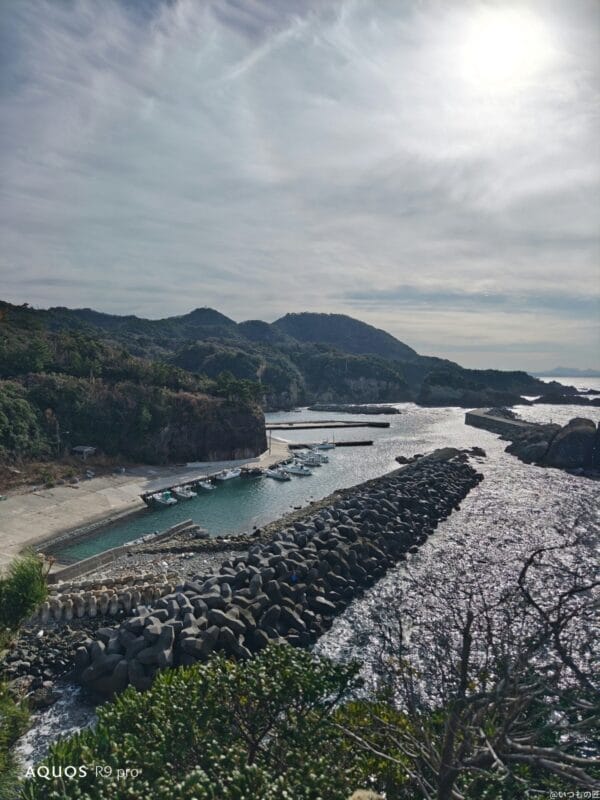 aquos r9 proで撮影した風景写真 | モバイル比較レビュー.jp AQUOS R9 pro カメラ AQUOS R9 proで撮影した風景写真