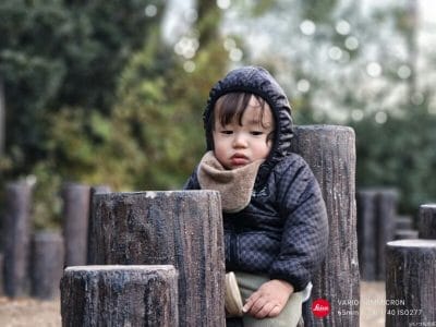 aquos r9 proでポートレート撮影した写真 | モバイル比較レビュー.jp AQUOS R9 pro カメラ AQUOS R9 proでポートレート撮影した写真