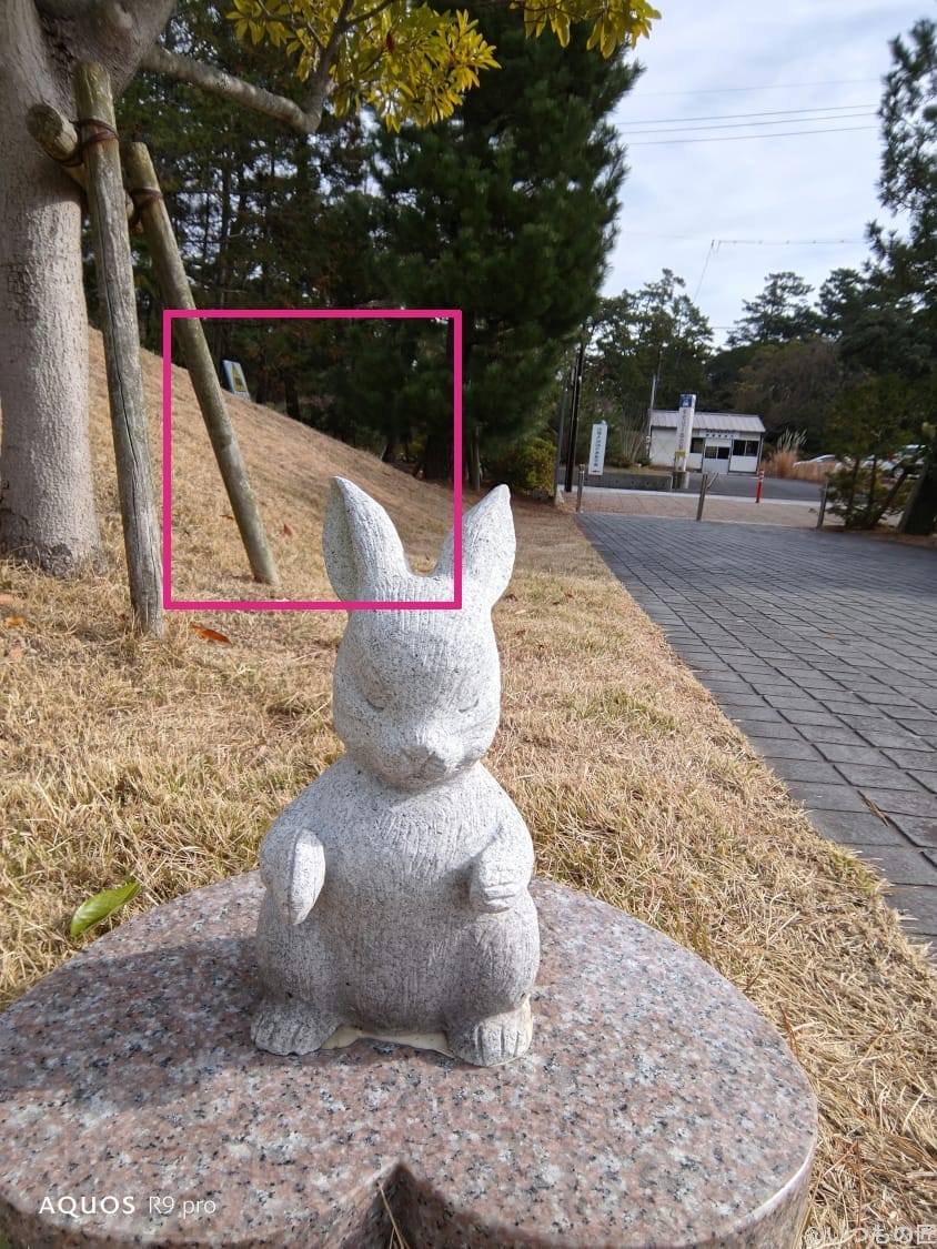 AQUOS R9 pro カメラ
AQUOS R9 proのインカメラで撮影した写真