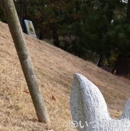 AQUOS R9 pro カメラ
AQUOS R9 proのインカメラで撮影した写真