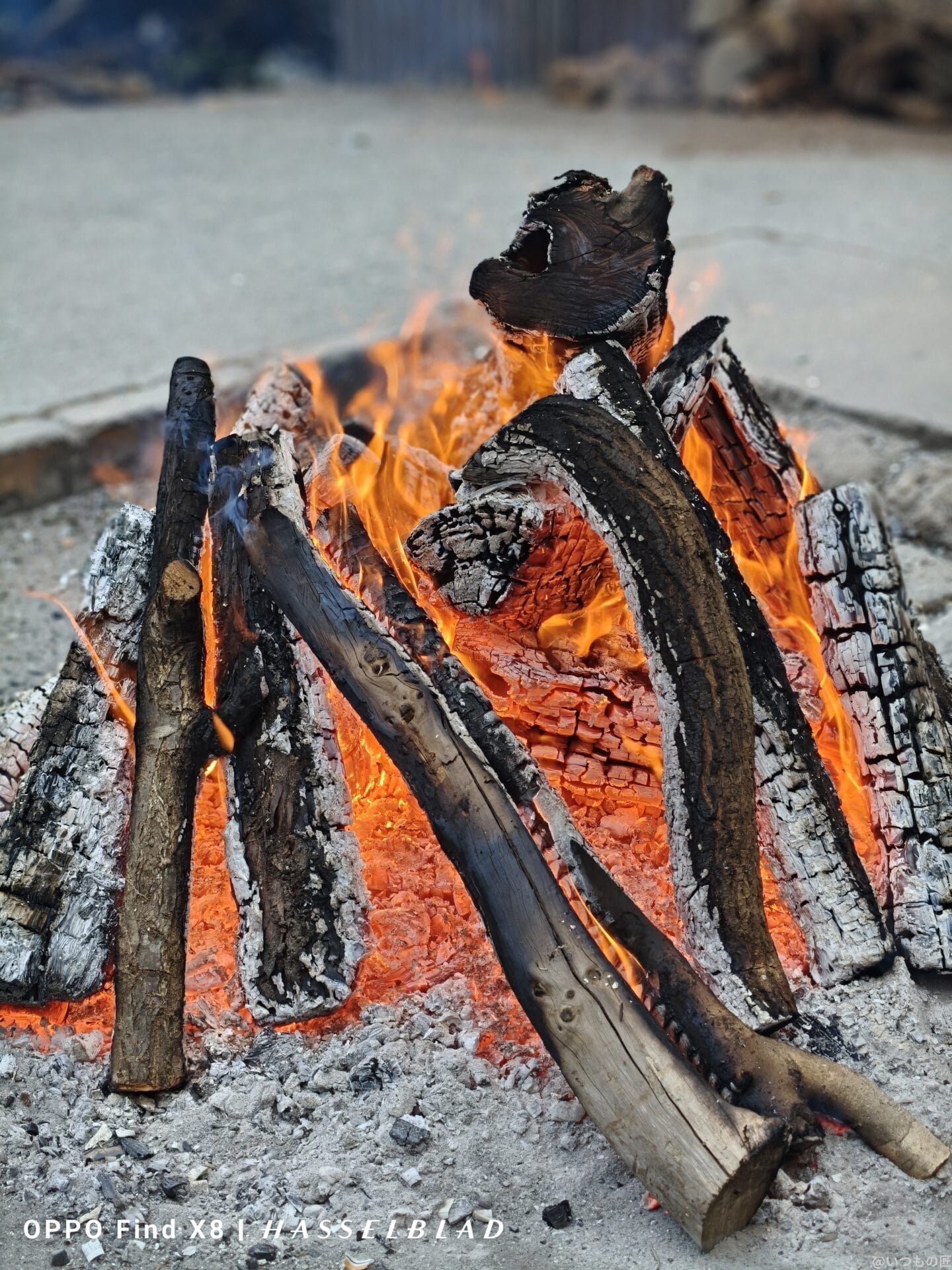 OPPO Find X8 カメラ OPPO Find X8で撮影したポートレート写真