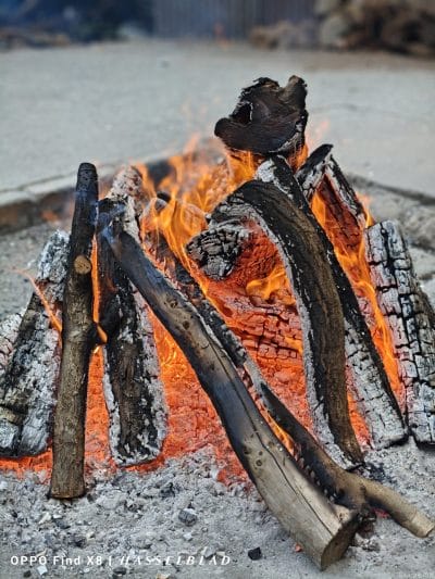 oppo find x8で撮影したポートレート写真 | モバイル比較レビュー.jp OPPO Find X8 カメラ OPPO Find X8で撮影したポートレート写真