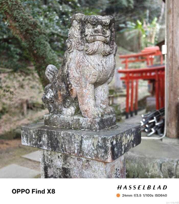 oppo find x8 ポートレート撮影 | モバイル比較レビュー.jp OPPO Find X8 カメラ OPPO Find X8で撮影したポートレート写真