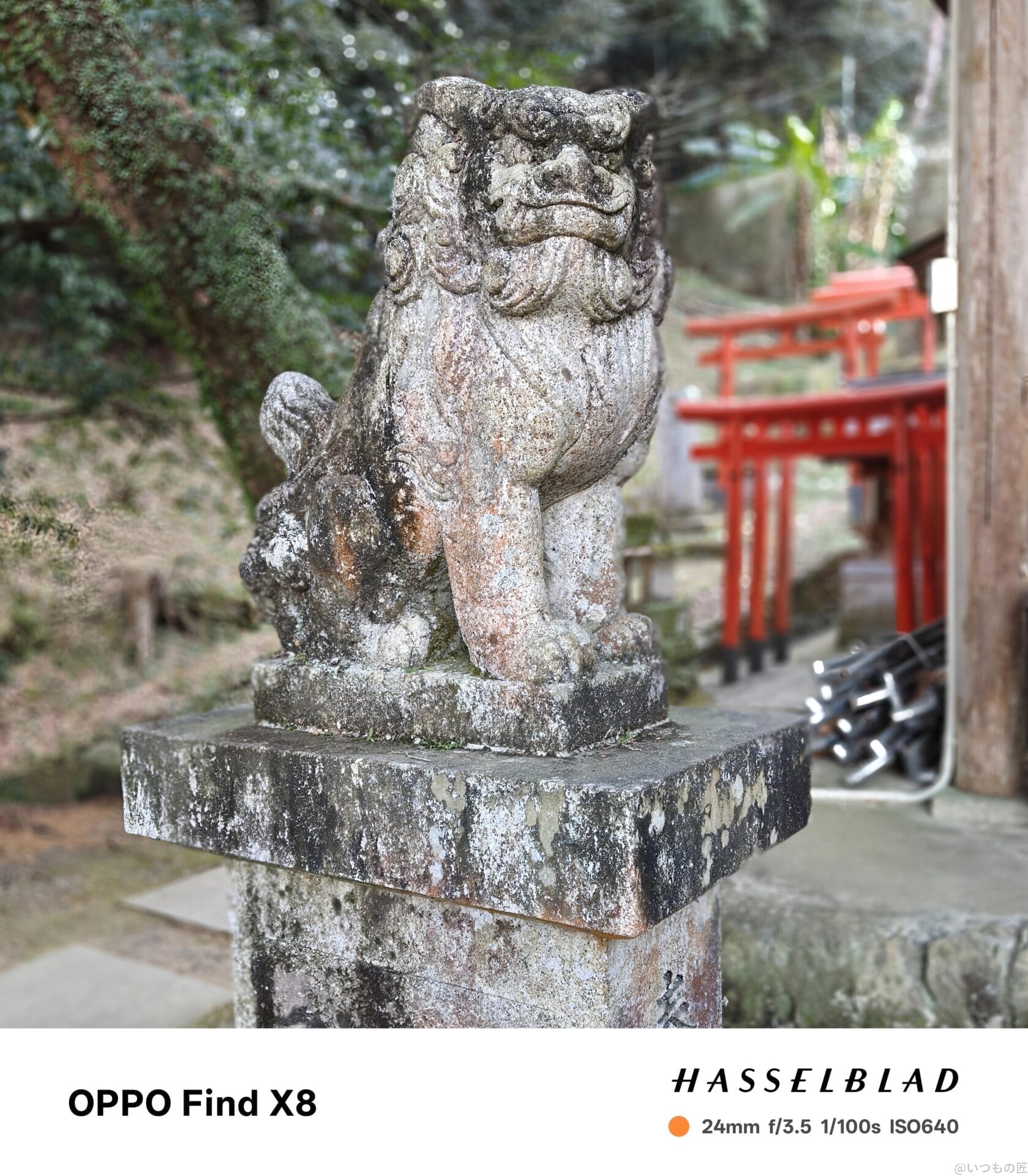 oppo find x8 ポートレート撮影 | モバイル比較レビュー.jp OPPO Find X8 カメラ OPPO Find X8で撮影したポートレート写真