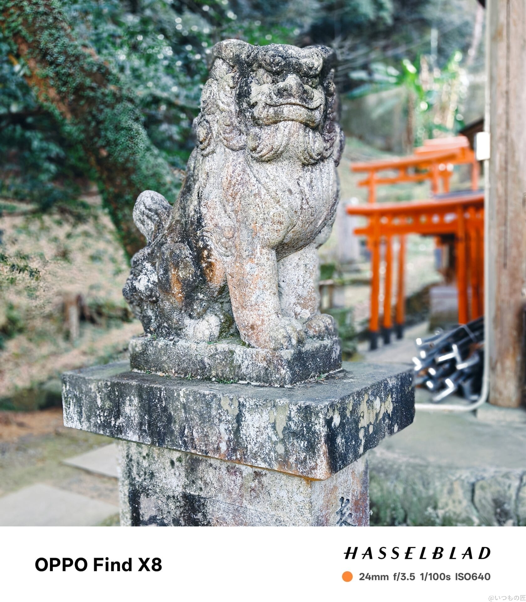 oppo find x8 ポートレート撮影 | モバイル比較レビュー.jp OPPO Find X8 カメラ OPPO Find X8で撮影したポートレート写真