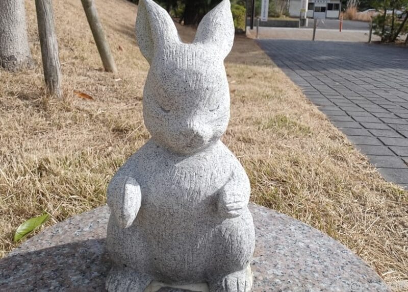 oppo find x8のインカメラで撮影した写真 | モバイル比較レビュー.jp OPPO Find X8 カメラ OPPO Find X8のインカメラで撮影した写真