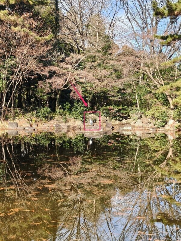 oppo find x8でズーム撮影した写真 | モバイル比較レビュー.jp OPPO Find X8 カメラ OPPO Find X8でズーム撮影した写真