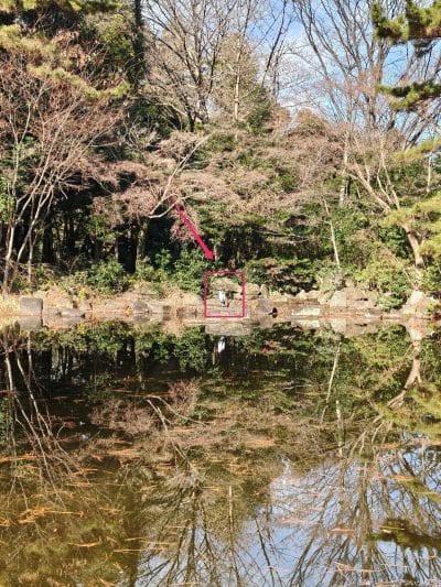 oppo find x8でズーム撮影した写真 | モバイル比較レビュー.jp OPPO Find X8 カメラ OPPO Find X8でズーム撮影した写真