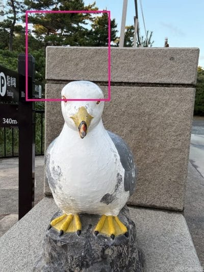 iphone 16 pro maxのインカメラで撮影した写真 | モバイル比較レビュー.jp AQUOS R9 pro カメラ iPhone 16 Pro MAXのインカメラで撮影した写真