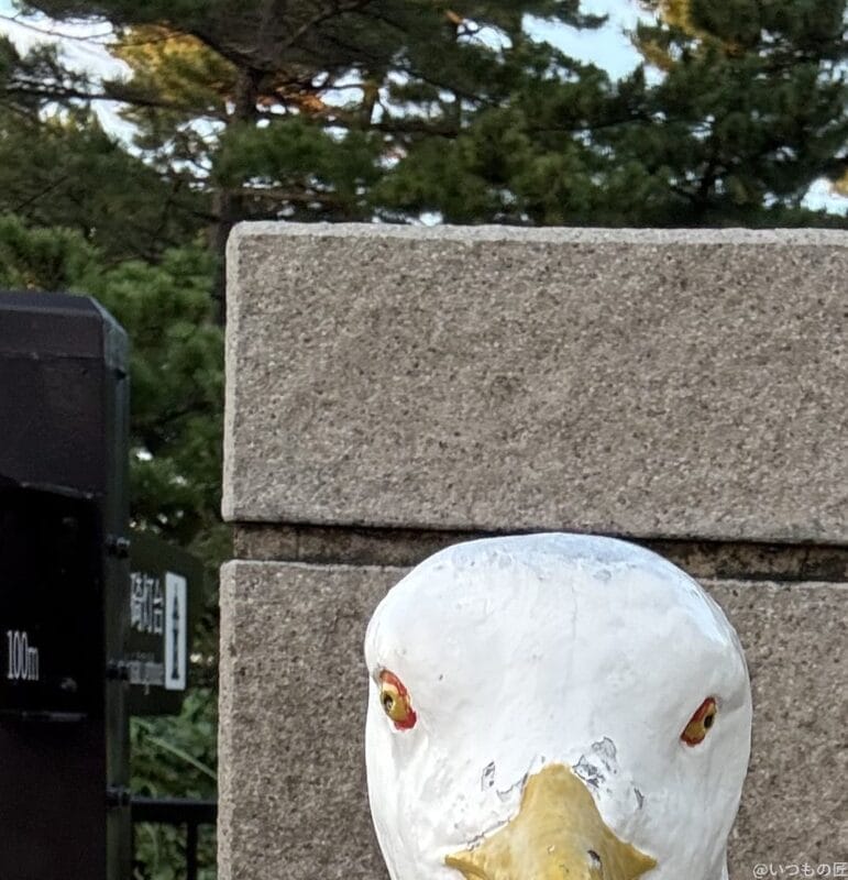 iphone 16 pro maxのインカメラで撮影した写真 | モバイル比較レビュー.jp AQUOS R9 pro カメラ iPhone 16 Pro MAXのインカメラで撮影した写真