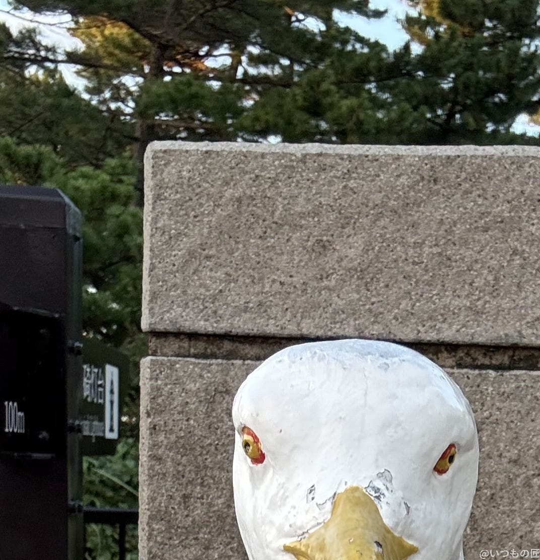 iphone 16 pro maxのインカメラで撮影した写真 | モバイル比較レビュー.jp AQUOS R9 pro カメラ iPhone 16 Pro MAXのインカメラで撮影した写真