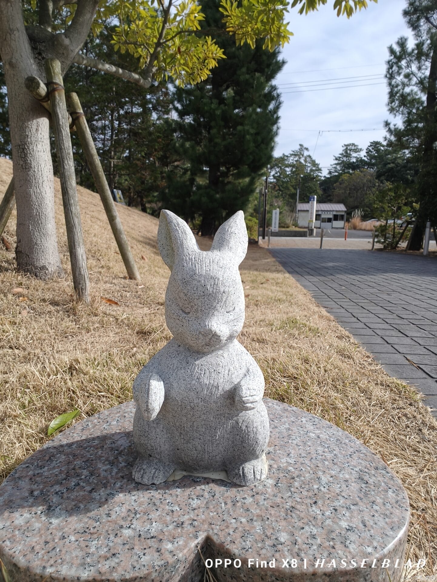 OPPO Find X8 カメラ
OPPO Find X8のインカメラで撮影した写真