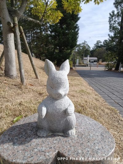 oppo find x8のインカメラで撮影した写真 | モバイル比較レビュー.jp OPPO Find X8 カメラ OPPO Find X8のインカメラで撮影した写真