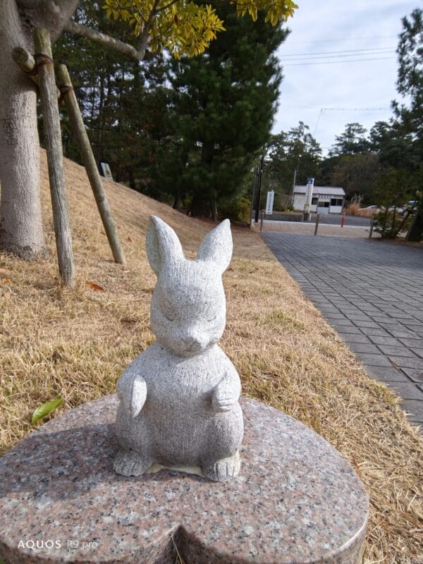 AQUOS R9 pro カメラ AQUOS R9 proのインカメラで撮影した写真