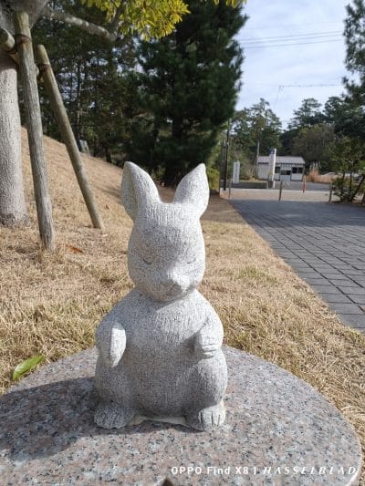 oppo find x8のインカメラで撮影した写真 | モバイル比較レビュー.jp OPPO Find X8 カメラ OPPO Find X8のインカメラで撮影した写真