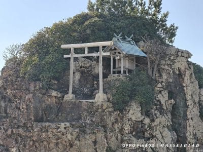 oppo find x8でズーム撮影した風景写真 | モバイル比較レビュー.jp OPPO Find X8 カメラ OPPO Find X8でズーム撮影した風景写真