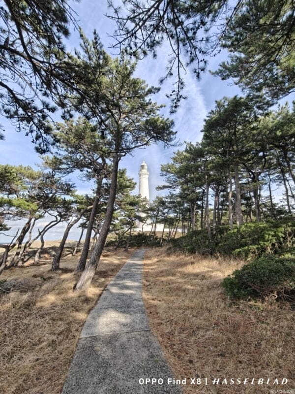 oppo find x8でズーム撮影した風景写真 | モバイル比較レビュー.jp OPPO Find X8 カメラ OPPO Find X8でズーム撮影した風景写真