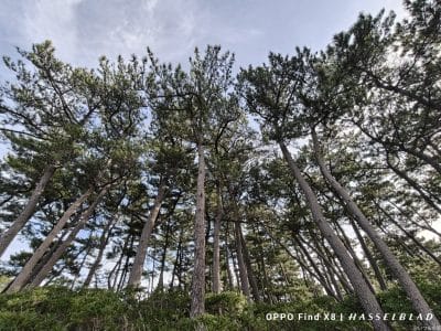 oppo find x8で撮影した風景写真 | モバイル比較レビュー.jp OPPO Find X8 カメラ OPPO Find X8で撮影した風景写真