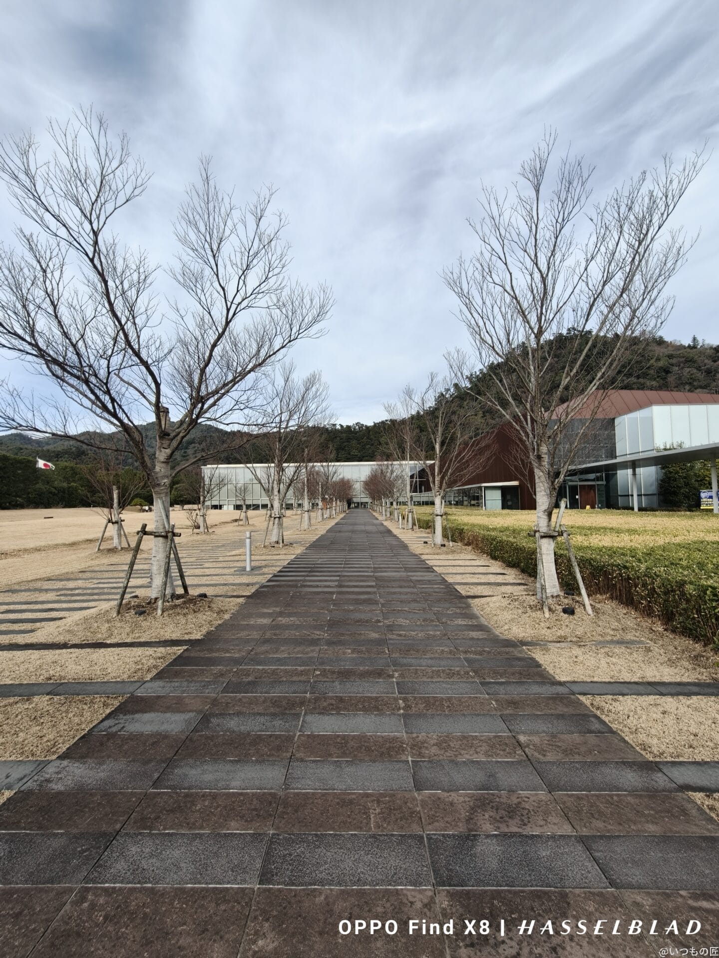 OPPO Find X8 カメラ
OPPO Find X8で撮影した風景写真