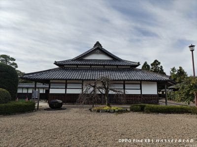 oppo find x8で撮影した風景写真 | モバイル比較レビュー.jp OPPO Find X8 カメラ OPPO Find X8で撮影した風景写真