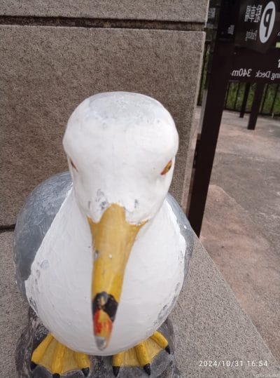 oppo a3 5g インカメラで撮影した写真 | モバイル比較レビュー.jp nubia S 5G カメラ OPPO A3 5G インカメラで撮影した写真