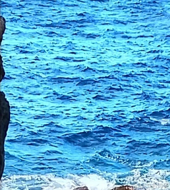 nubia S 5G カメラ
nubia S 5G で撮影した風景写真