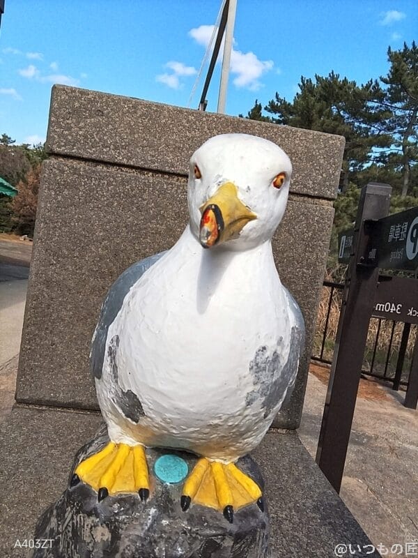 nubia S 5G カメラ
nubia S 5G インカメラで撮影した写真