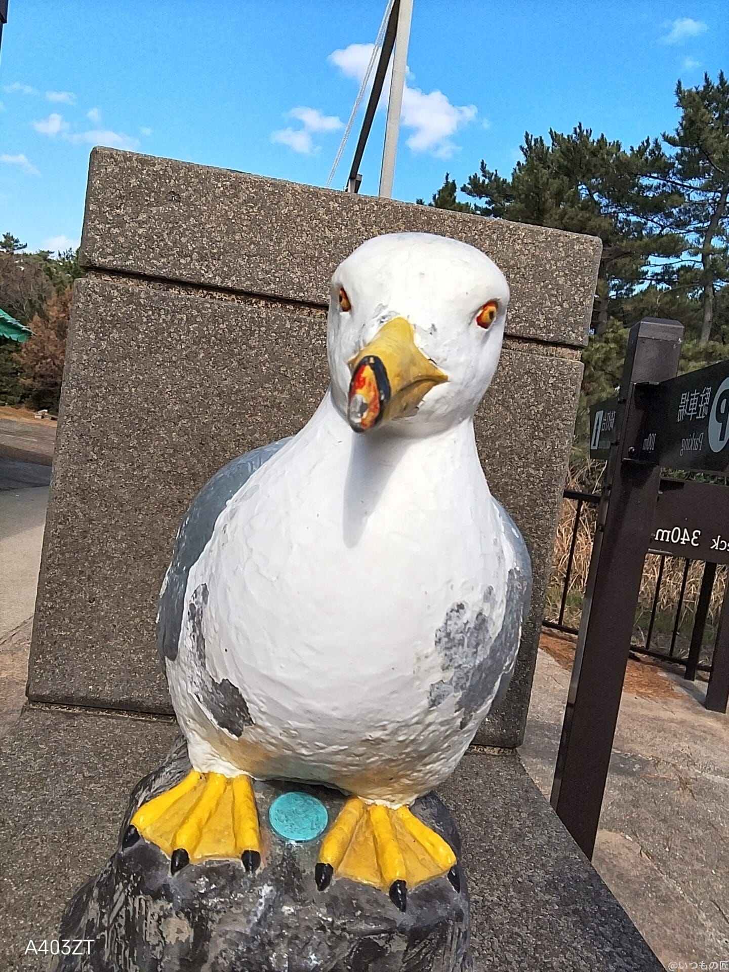 nubia S 5G カメラ
nubia S 5G インカメラで撮影した写真