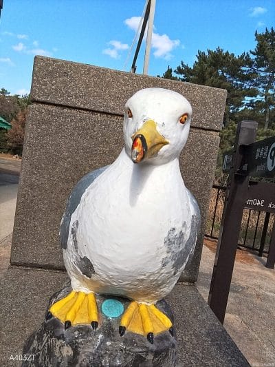 nubia s 5g インカメラで撮影した写真 | モバイル比較レビュー.jp nubia S 5G カメラ nubia S 5G インカメラで撮影した写真