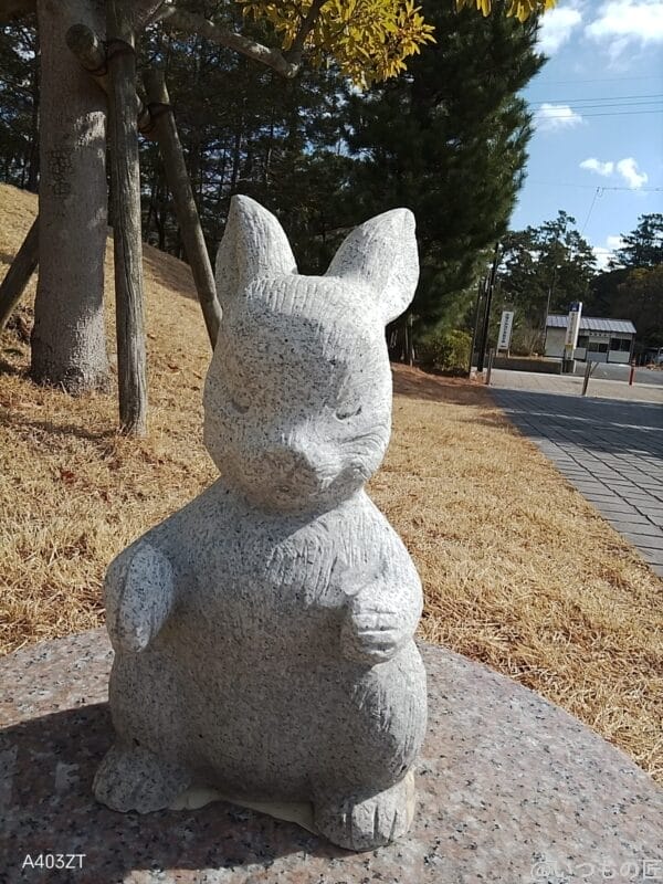 nubia S 5G カメラ
nubia S 5G インカメラで撮影した写真