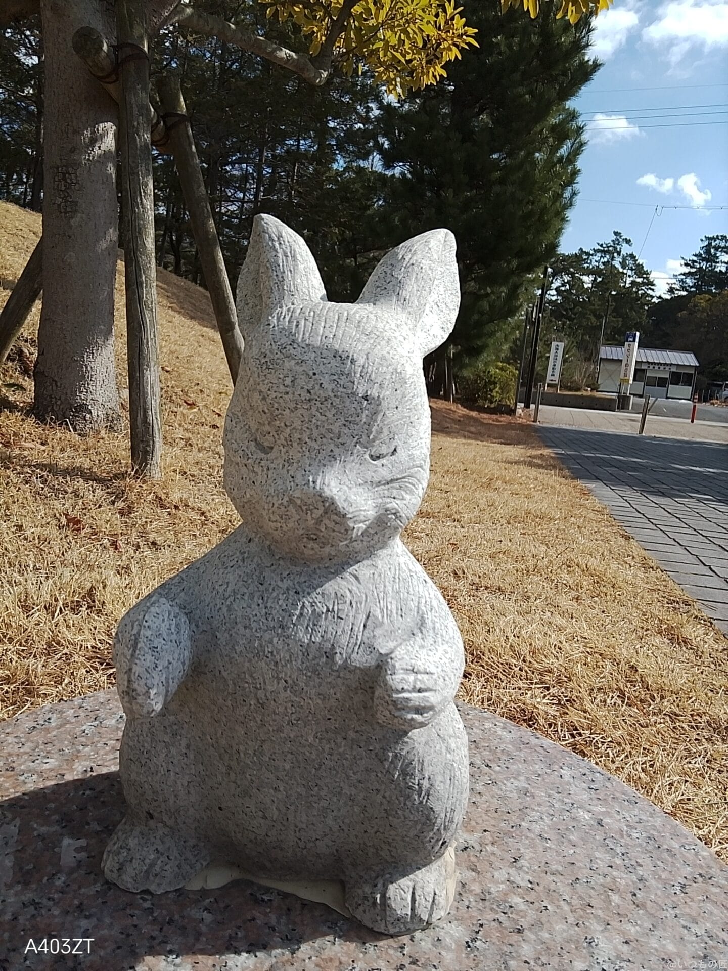 nubia S 5G カメラ
nubia S 5G インカメラで撮影した写真