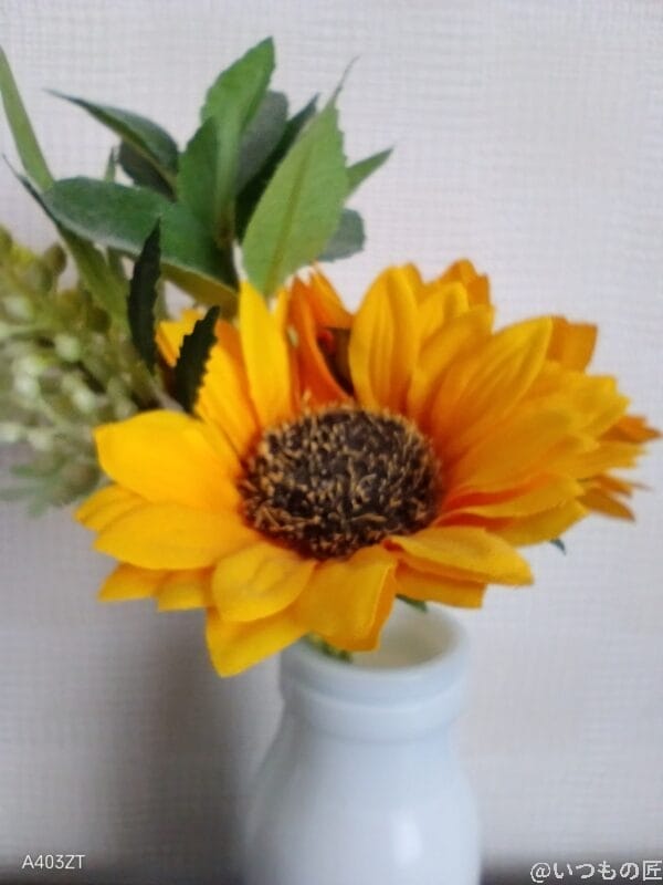 nubia S 5G レビュー nubia S 5Gでマクロ撮影した写真