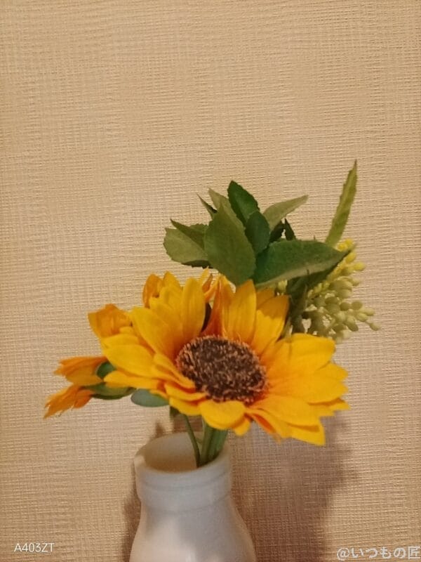 nubia S 5G レビュー nubia S 5Gでインカメラ撮影した写真