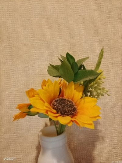 nubia s 5gでインカメラ撮影した写真 | モバイル比較レビュー.jp nubia S 5G レビュー nubia S 5Gでインカメラ撮影した写真