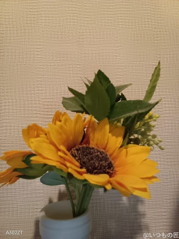 nubia S 5G レビュー Libero 5G Ⅳのインカメラで撮影した写真