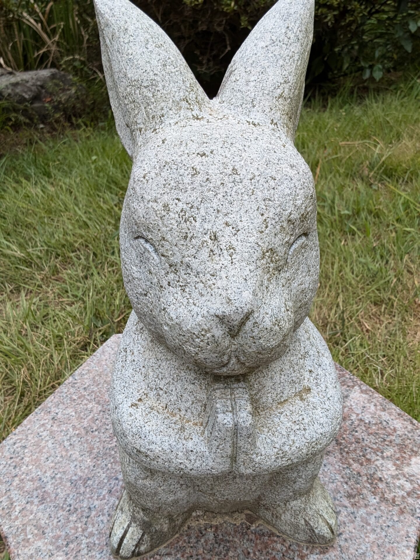 google pixel 9でインカメラ撮影した写真 | モバイル比較レビュー.jp nubia Flip 2 カメラ Google Pixel 9でインカメラ撮影した写真