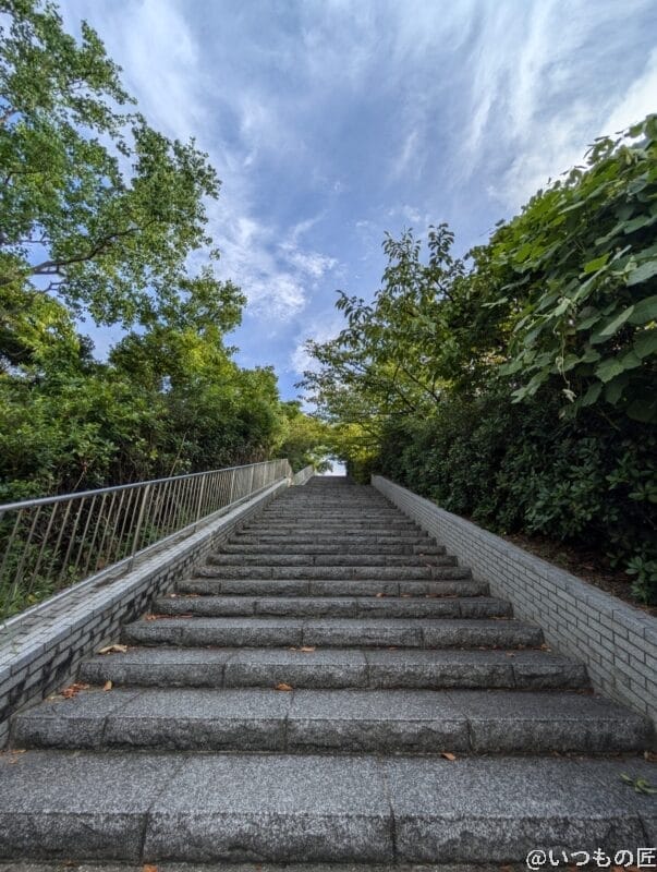 nubira Flip 2 カメラ Google Pixel 9 で撮影した風景写真