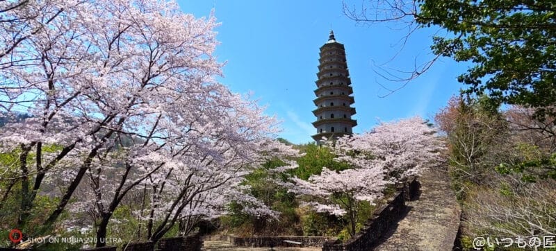 nubia z70 ultra 超広角18mmレンズの風景撮影 | モバイル比較レビュー.jp nubia Z70 Ultra 超広角18mmレンズの風景撮影