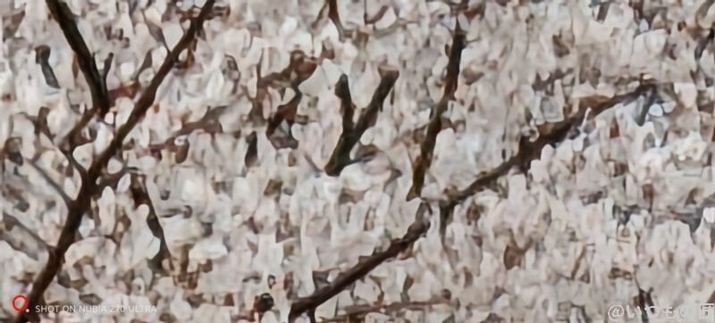 nubia z70 ultra 50倍ズームで撮影した写真 | モバイル比較レビュー.jp nubia Z70 Ultra 50倍ズームで撮影した写真