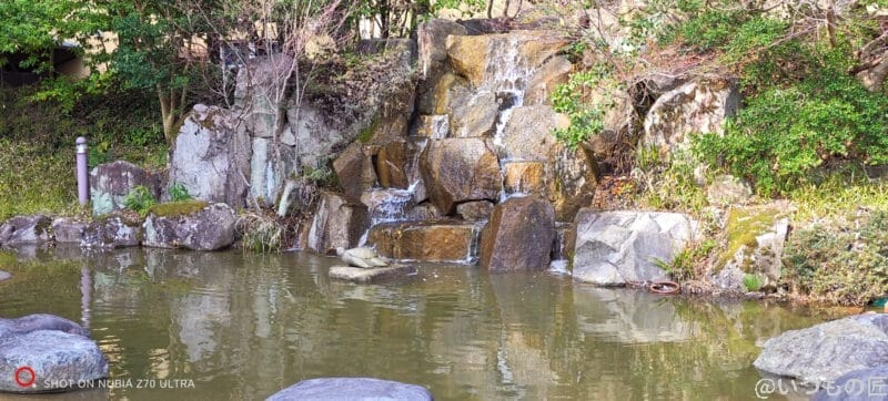 nubia z70 ultra 35mm 近距離を撮影した風景写真 | モバイル比較レビュー.jp nubia Z70 Ultra 35mm 近距離を撮影した風景写真