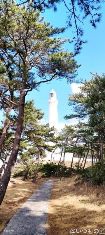 nubia S 5G レビュー nubia S 5Gでズーム撮影した風景写真