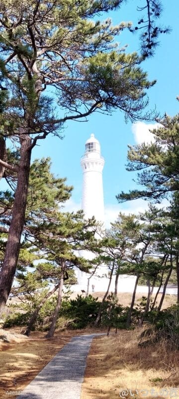 nubia S 5G レビュー nubia S 5Gでズーム撮影した風景写真