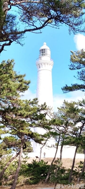 nubia S 5G レビュー nubia S 5Gでズーム撮影した風景写真