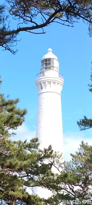 nubia S 5G レビュー
nubia S 5Gでズーム撮影した風景写真