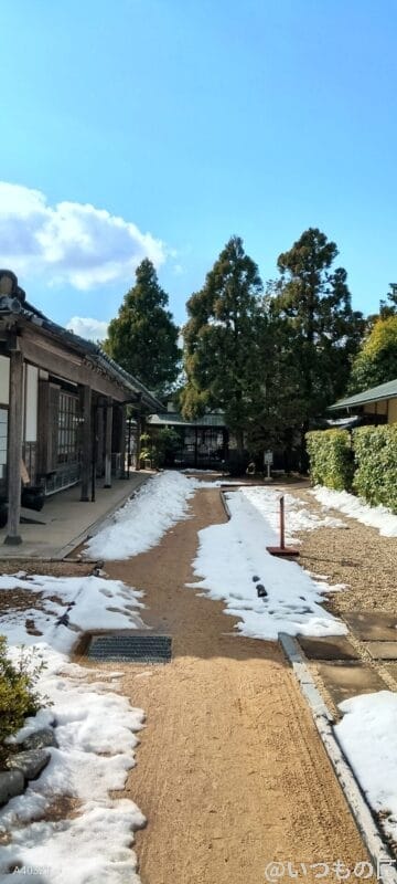 nubia S 5G レビュー nubia S 5Gで撮影した風景写真