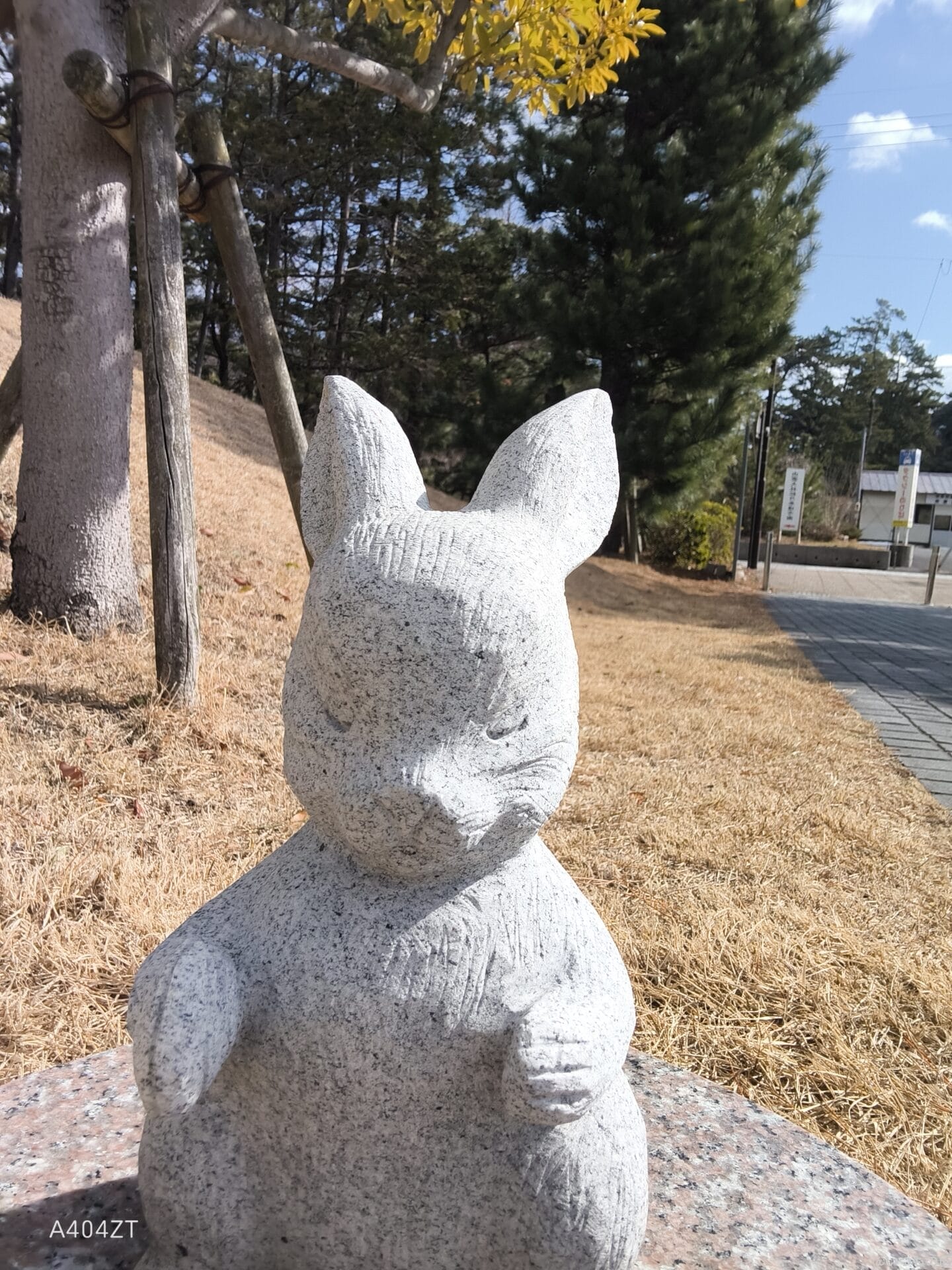 nubia flip 2 インカメラで撮影した写真 | モバイル比較レビュー.jp nubia Flip 2 レビュー nubia Flip 2 インカメラで撮影した写真