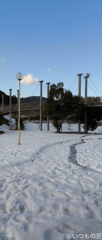 nubia Flip 2 カメラ nubia Flip 2 カメラで撮影した風景写真