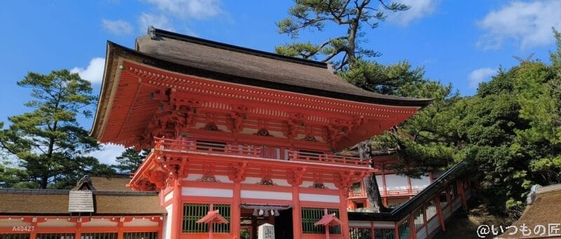 nubia Flip 2 カメラ nubia Flip 2 カメラで撮影した風景写真