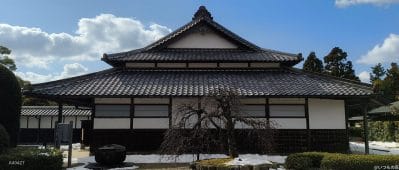 nubia flip 2 カメラで撮影した風景写真 | モバイル比較レビュー.jp nubia Flip 2 カメラ nubia Flip 2 カメラで撮影した風景写真