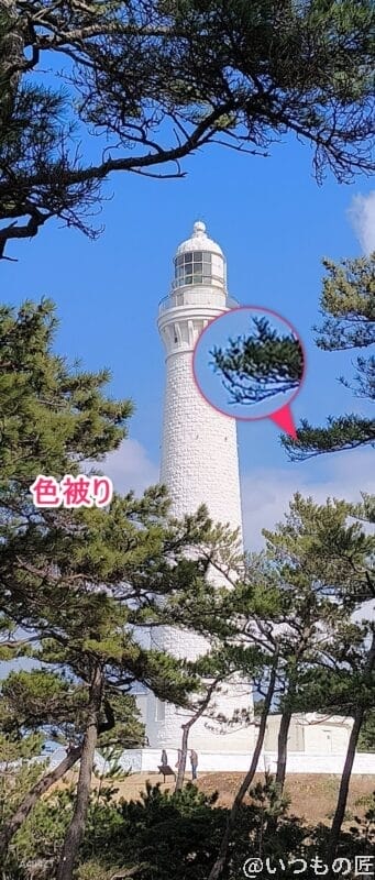 nubia Flip 2 カメラ nubia Flip 2 カメラでズーム撮影した風景写真